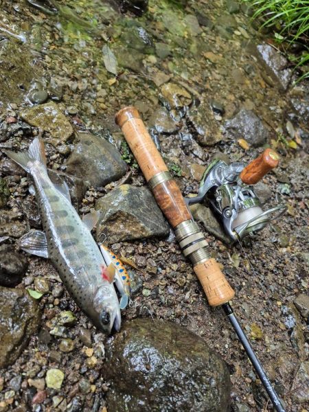 暴風なんで山へ