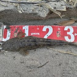 小さいけど1匹は1匹!