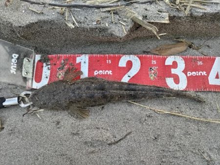 小さいけど１匹は１匹！