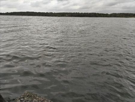 ミノーのジャーキングでマゴチをゲット！