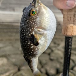 みんなで広島チニング&お好み焼き!