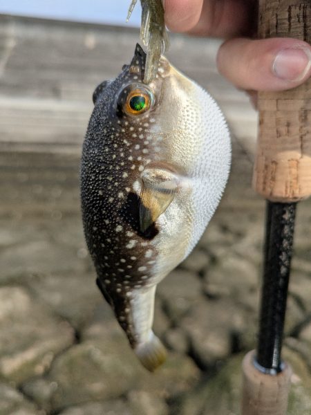 みんなで広島チニング&お好み焼き!