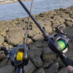 広島市内ランガンチニング