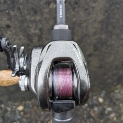 広島雨中チニング！