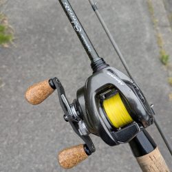 超好調広島チニングで34枚!