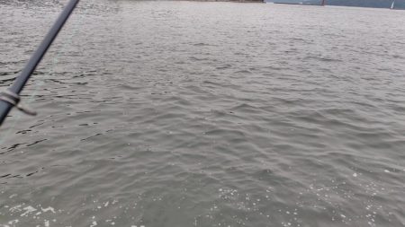 シロギス、シーズン入りました