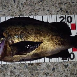 潮と場所は重要