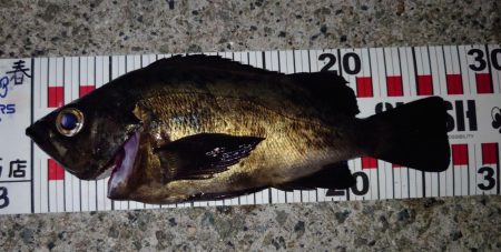 潮と場所は重要