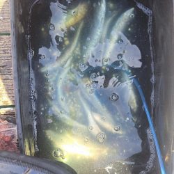 爆釣イワシ釣り