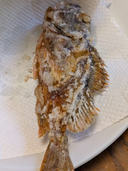 サビキでカタクチイワシ