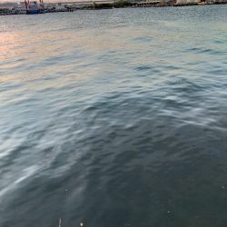 夕マズメの港で