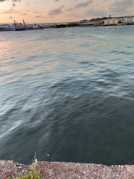 夕マズメの港で