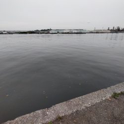 雨が降る前に…