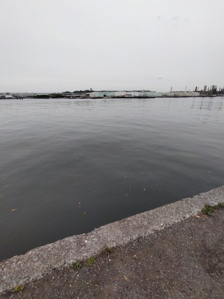 雨が降る前に…