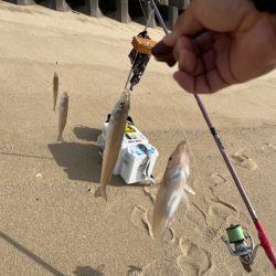 ＧＷにいろいろと巡ってみました