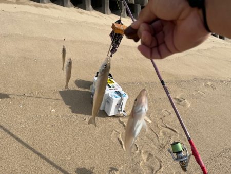 ＧＷにいろいろと巡ってみました