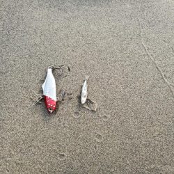 マイクロベイトチニングはバイブが面白い