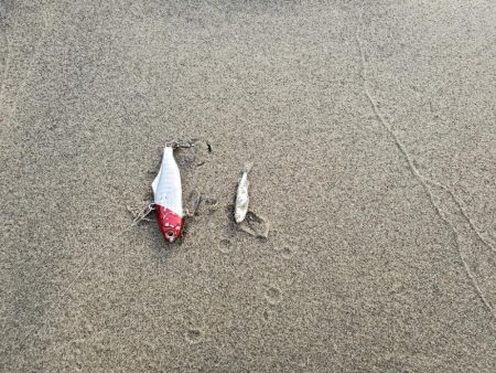 マイクロベイトチニングはバイブが面白い