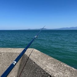 恒例のＧＷ天草釣行をしてきました