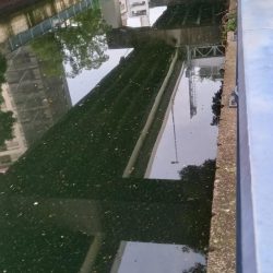 まさか！！こんなところで天然うなぎ！