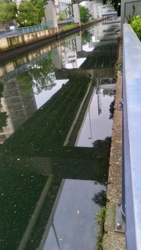 まさか！！こんなところで天然うなぎ！