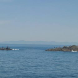 和歌山大引の磯でフカセ釣り