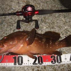 今シーズン初釣行