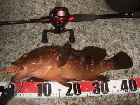 今シーズン初釣行