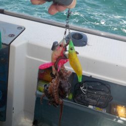 タコ開幕戦〜鍵庄〜