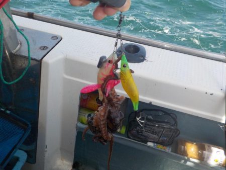 タコ開幕戦〜鍵庄〜