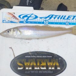 キス第1戦〜栗田〜