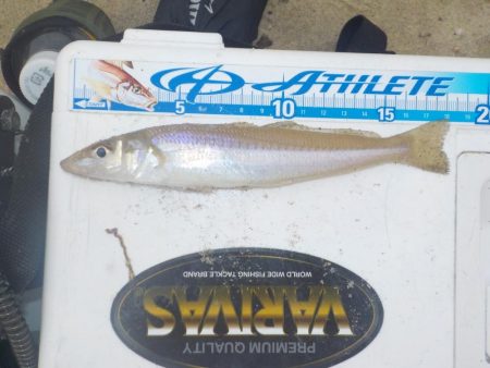 キス第1戦〜栗田〜