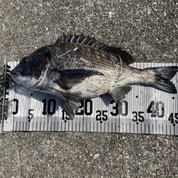 イチノ兄弟、釣果!