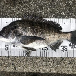 イチノ兄弟、釣果！