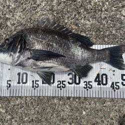 イチノ兄弟、釣果！