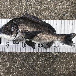 イチノ兄弟、釣果！