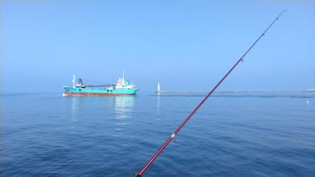 近場のキス調査