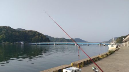 津居山港のキス調査