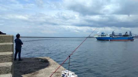 播磨新島のキス釣査