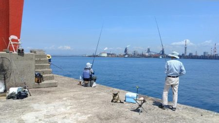 播磨新島のキス釣査