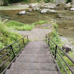 高見川で、アマゴ狙い