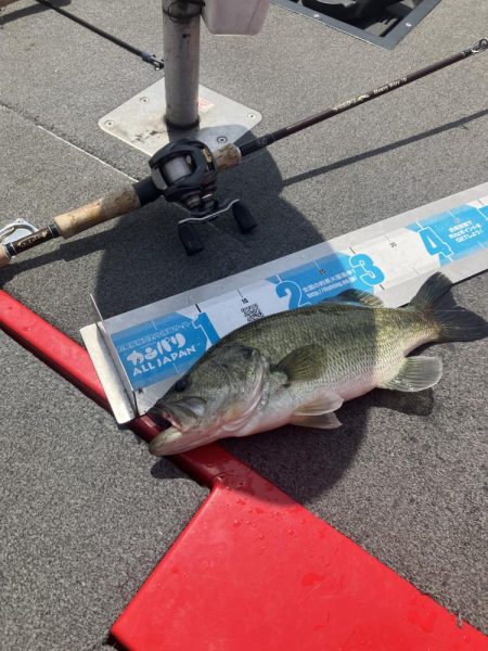 GW北山田40cm〜4匹