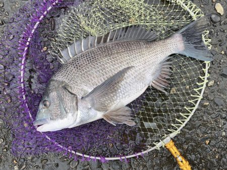 荒れる前のランガン釣行