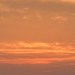 春のガッシー祭り終了!