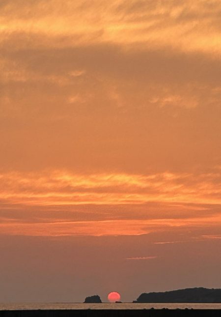 春のガッシー祭り終了!