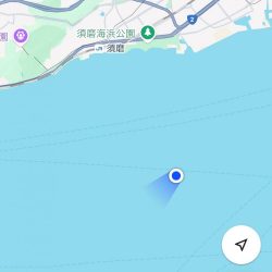 大サバパラパラ