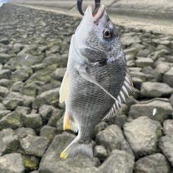 太田川河口でチニング