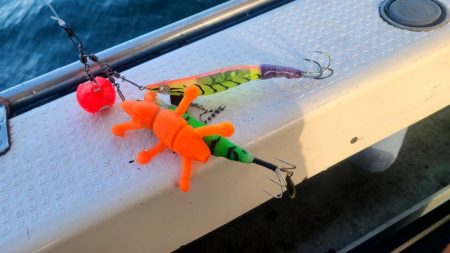 明石　船タコ開幕