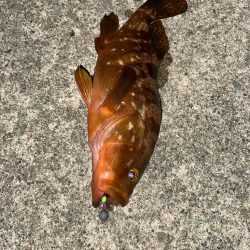 友達と2人遠征で爆釣