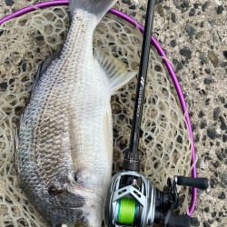 ニュータックル！